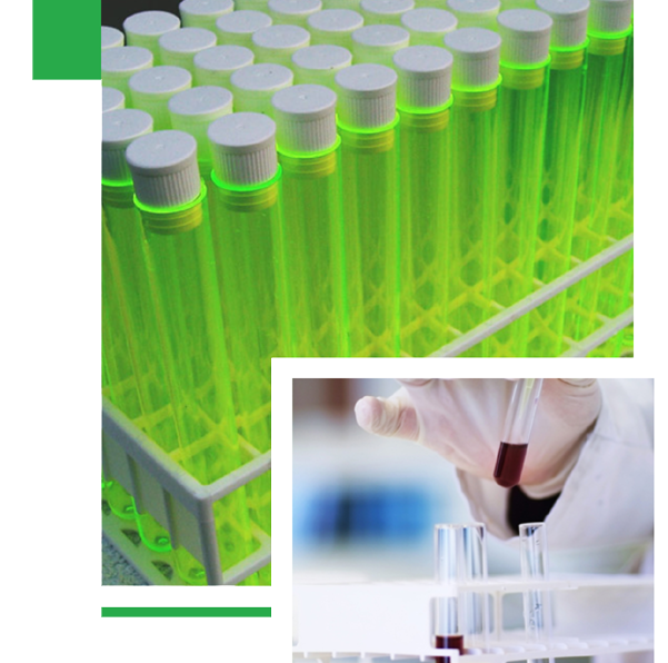 新沂美景化學(xué)科技有限公司