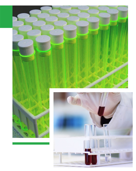 新沂美景化學科技有限公司